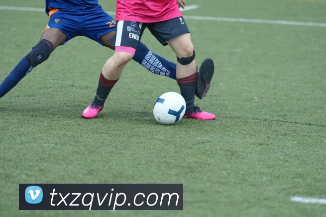 天下足球APP 封面图